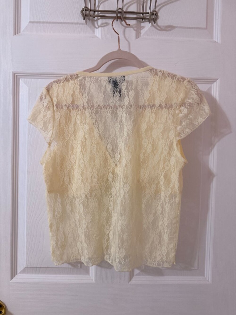 Lace Cropped Top - Picture 3 of 3